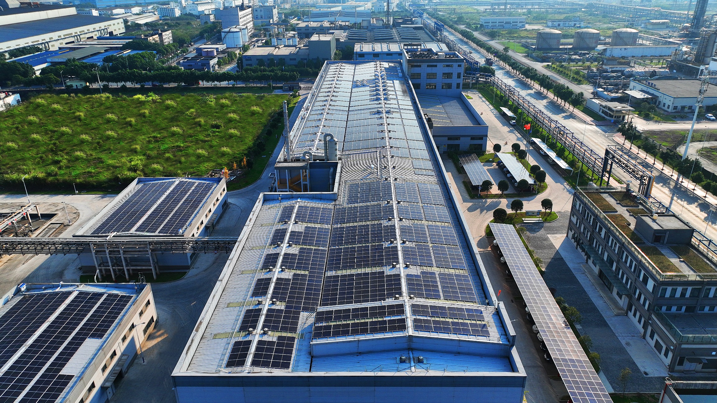 A scientist in a modern lab